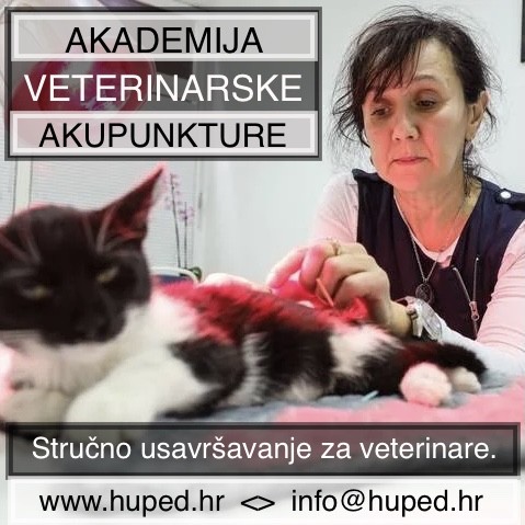 AKADEMIJA VETERINARSKE AKUPUNKTURE